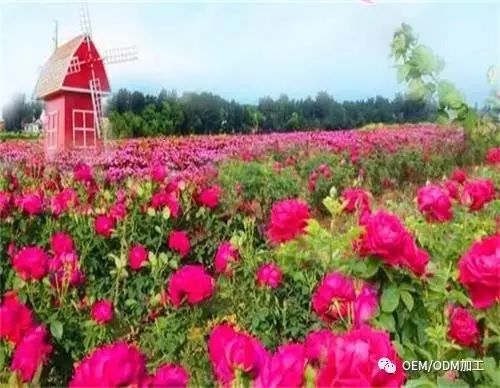 防腐问题知多少?健康有多大,防腐就有多重要!(图2)