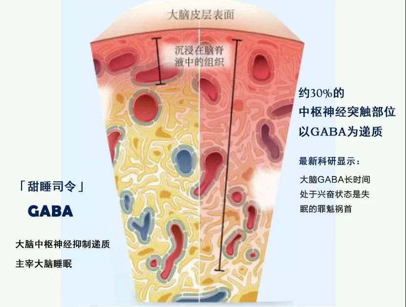 网红同款助眠喷雾来了!轻松一喷睡到天亮(图9)