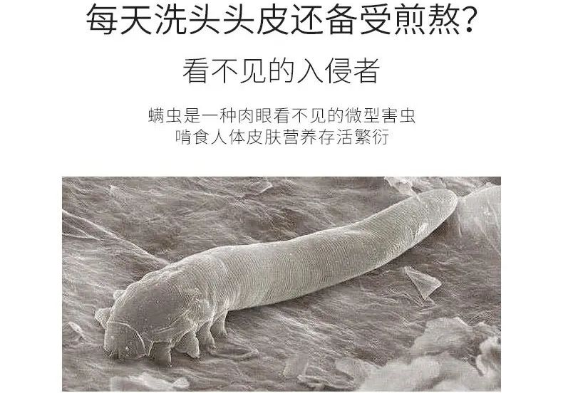 和螨虫说拜拜!持续断货的澳洲茶树洗护系列全新升级!抢先体验(图4)