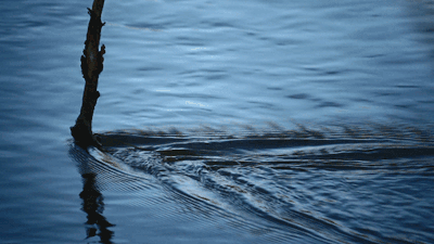 探寻“水之秘语”,用对化妆水比精华还神!(图1)