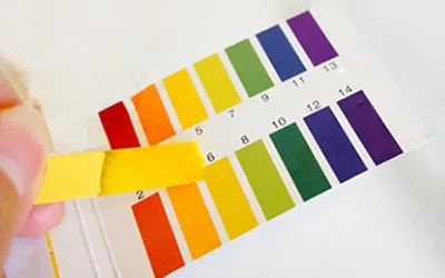 亚麻籽究竟有多神奇?用它,头发蓬松不出油,关键是拯救秃头!(图22)