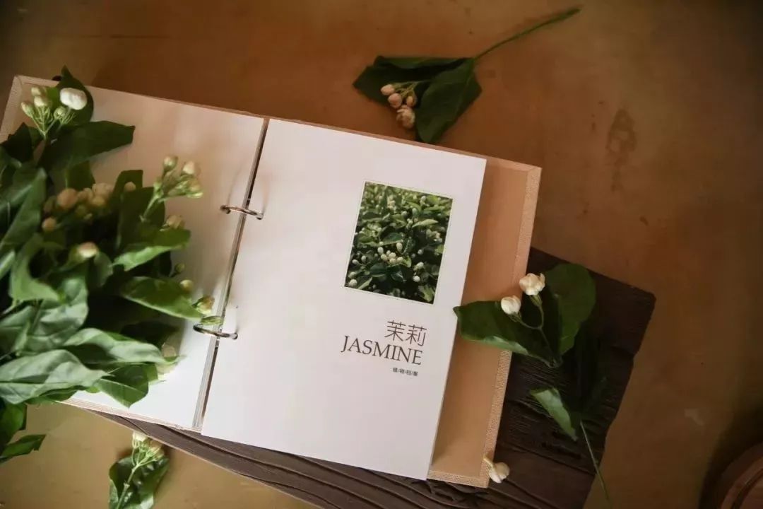 天然雕饰美,10大纯露哪款是你心头爱?(图8)