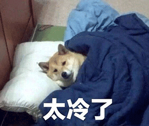 抽奖了!抽奖了!!大澳给大家送温暖了!(图1) 图片