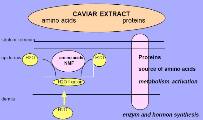 微信截图_20210114155643.png 图片
