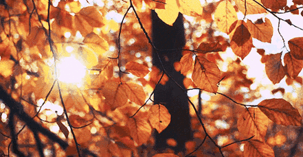 年末大扫除,飘香四溢的房子,还是第一次见!(图1) 图片