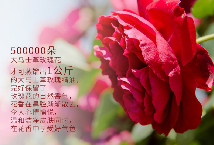 绝了!它们竟然让男神对我一见钟情!(图9) 图片