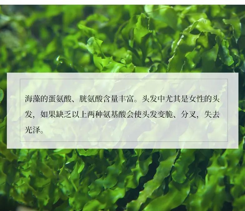 海盐洗发皂详情_05.jpg 图片