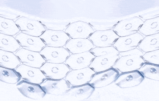 听说皮肤有螨虫?别怕,性价比巨高的神仙洗面奶,带你创造牛奶嫩肌!(图14) 图片