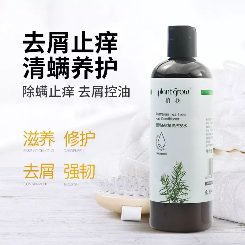 澳洲茶树精油洗发水,除螨、去油、味道芳香(图11) 图片