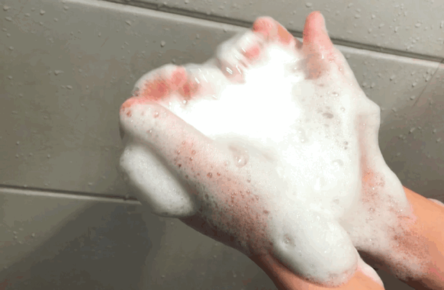 澳洲茶树精油洗发水,除螨、去油、味道芳香(图13) 图片