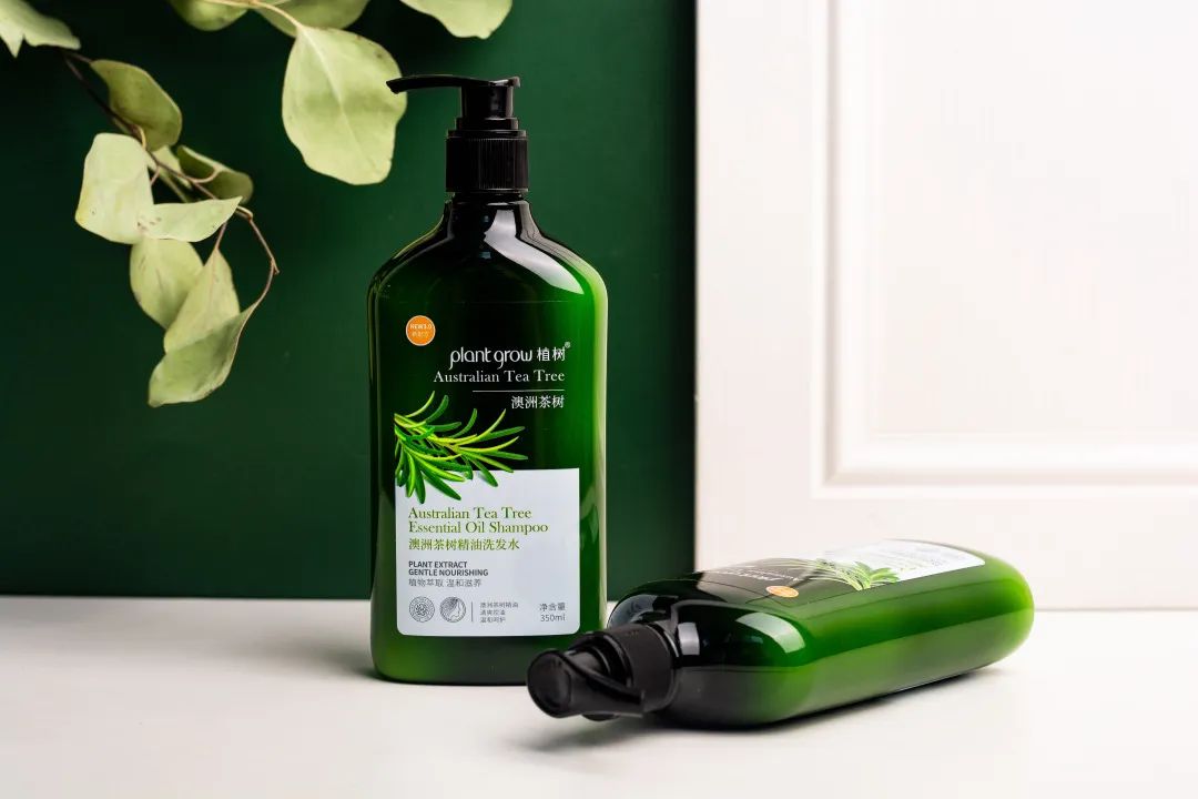 “油头克星”澳洲茶树精油——控油、除螨、去屑一瓶全搞定!(图10) 图片