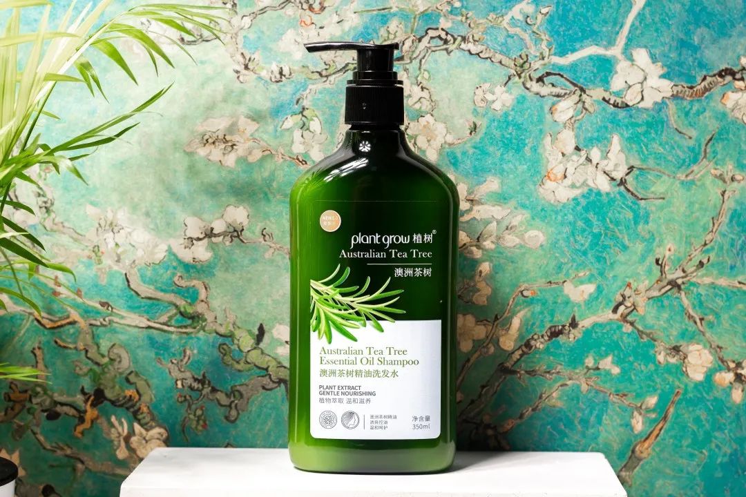 “油头克星”澳洲茶树精油——控油、除螨、去屑一瓶全搞定!(图9) 图片