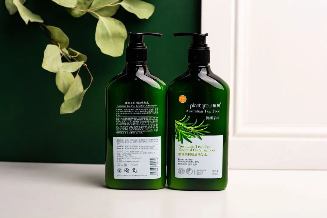 “油头克星”澳洲茶树精油——控油、除螨、去屑一瓶全搞定!(图5) 图片
