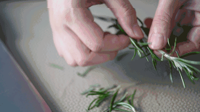 “油头克星”澳洲茶树精油——控油、除螨、去屑一瓶全搞定!(图7) 图片