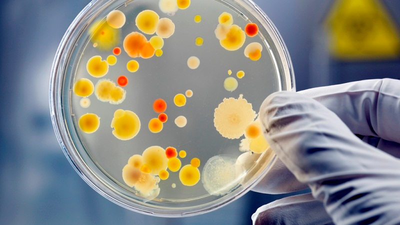 大澳:化妆品宣称进入严管时代,这些“雷”不要踩(图4) 图片