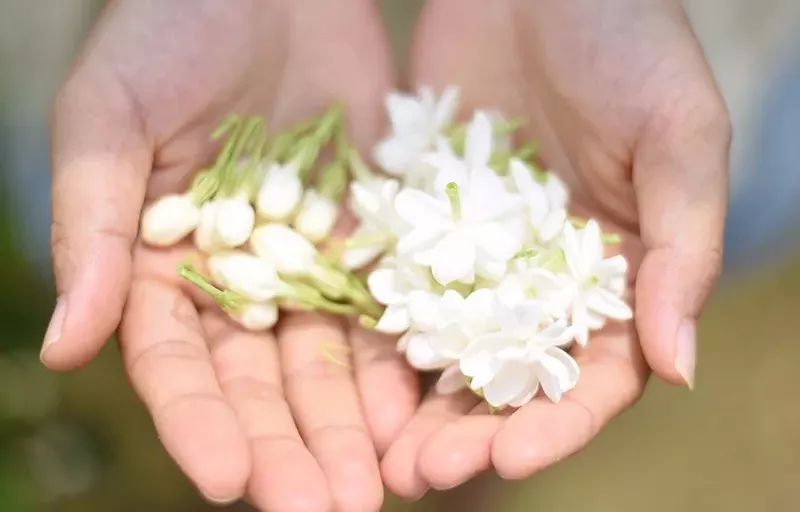 大澳®|产品 天然雕饰美,10大纯露哪款是你心头爱?(图7) 图片